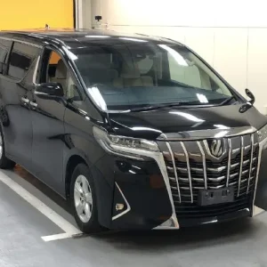 toyota alphard (c black)